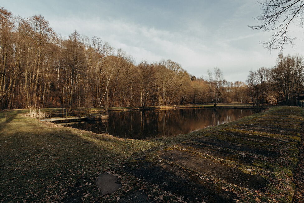 Peisaj de toamnă cu un lac liniștit, înconjurat de copaci desfrunziți sub un cer acoperit de nori.